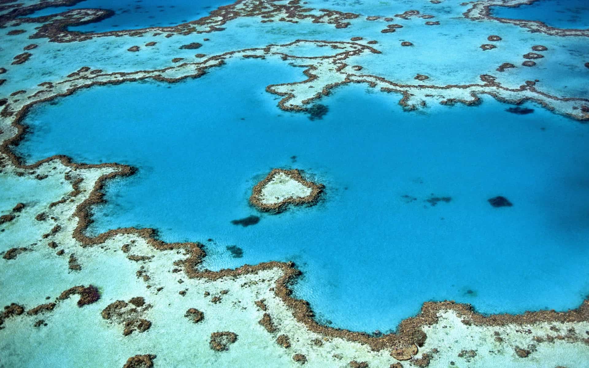 Australie : La Grande Barrière De Corail, Un Trésor Naturel Australien